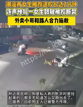 女生被狗追咬