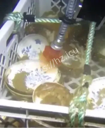 挪威深海发现古沉船